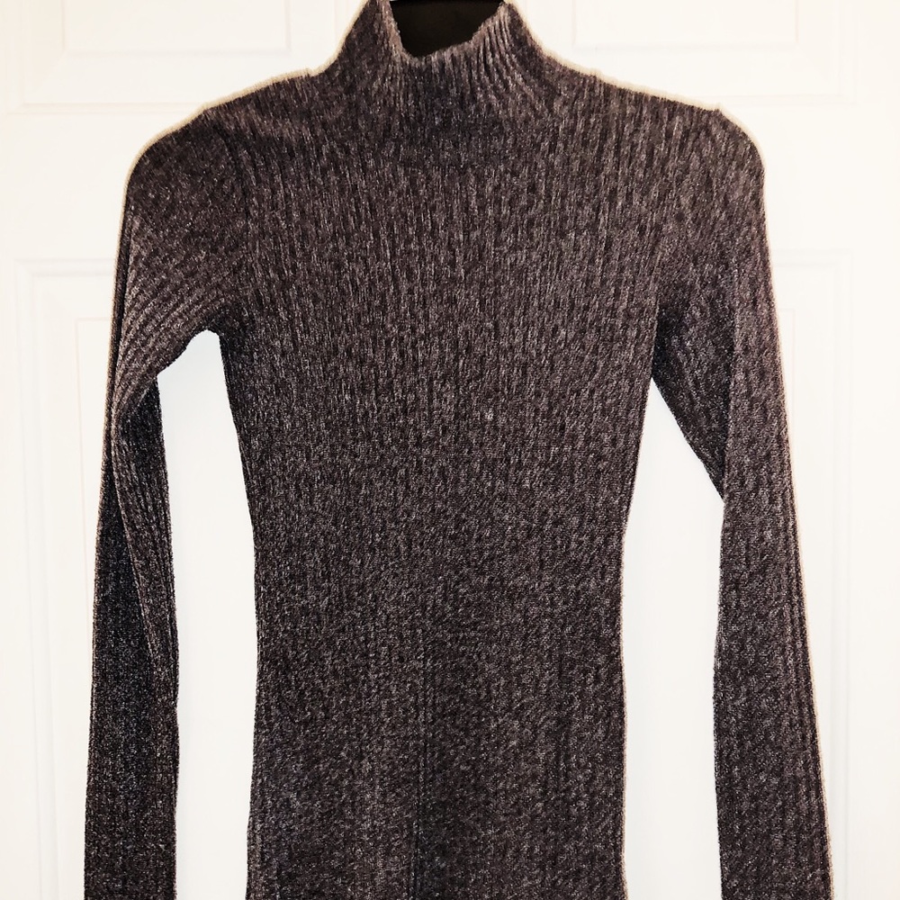 Aritzia Turtleneck